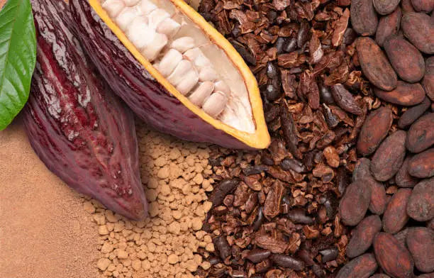 500 grammes de cacao pur