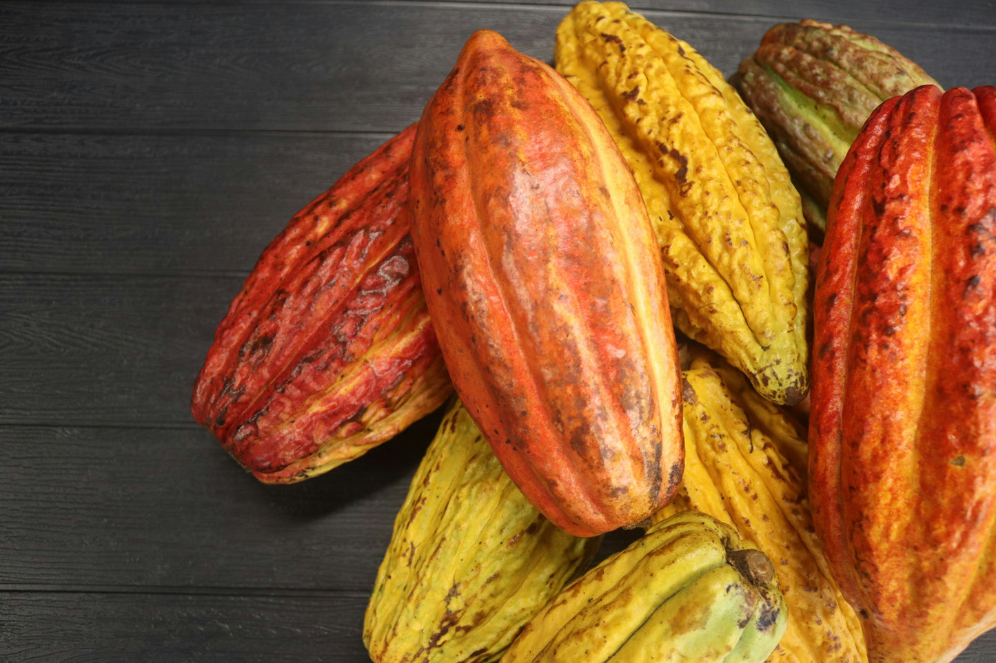 200 grammes de cacao pur